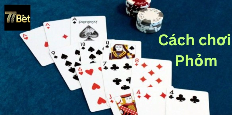 Cách chơi và các thuật ngữ